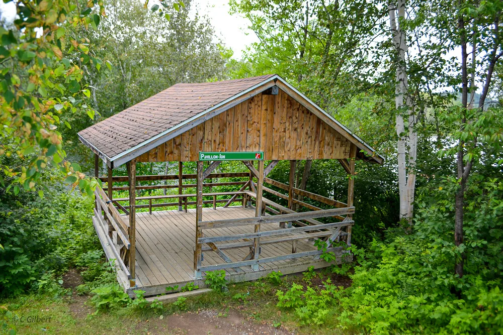 DSC 0178