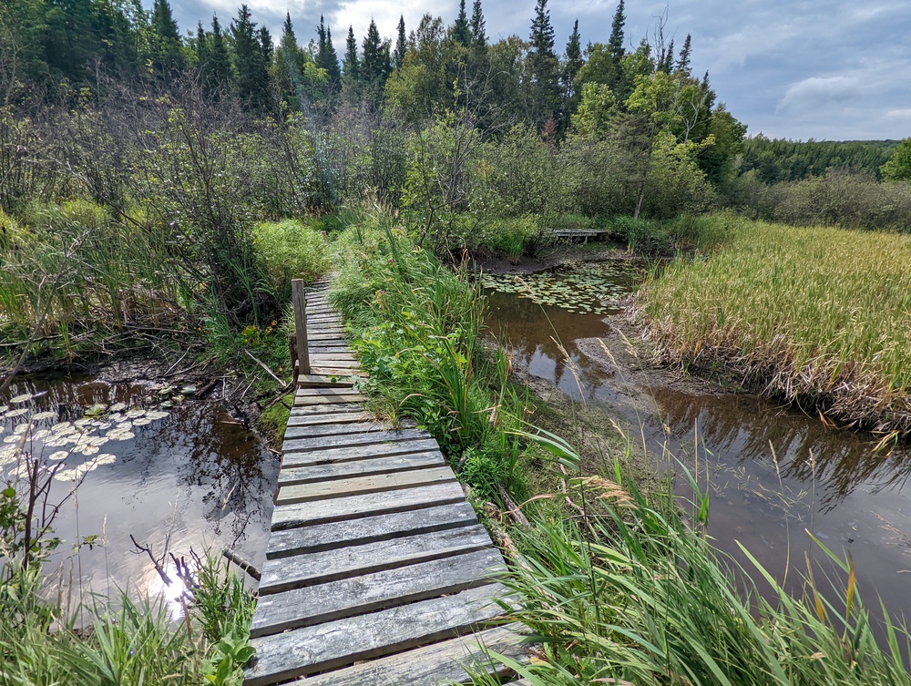 PXL 20220830 145505401