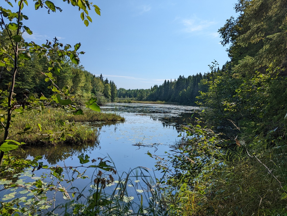 PXL 20220909 144217876