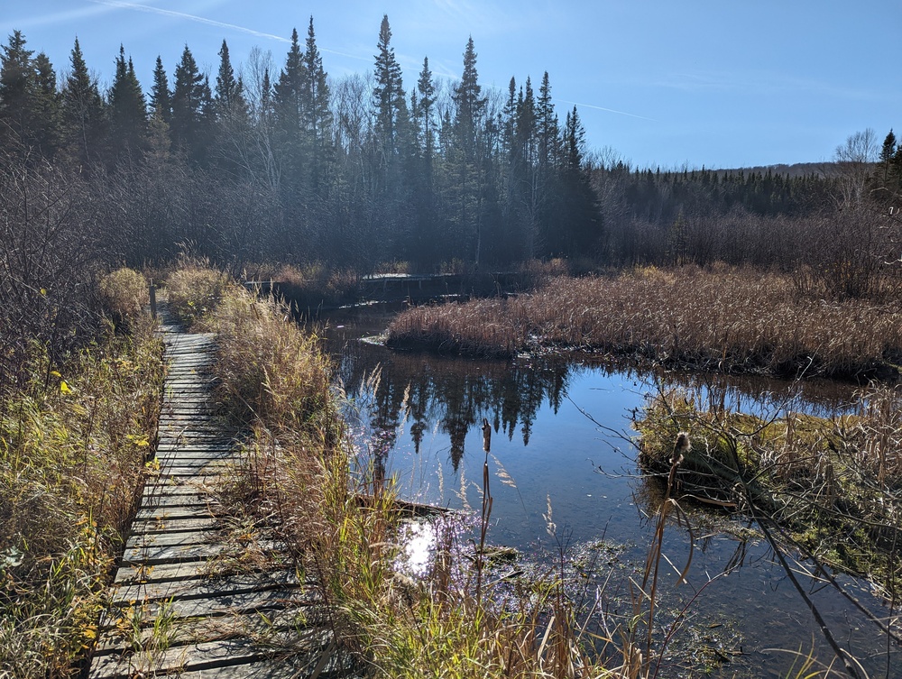 PXL 20221030 165545647