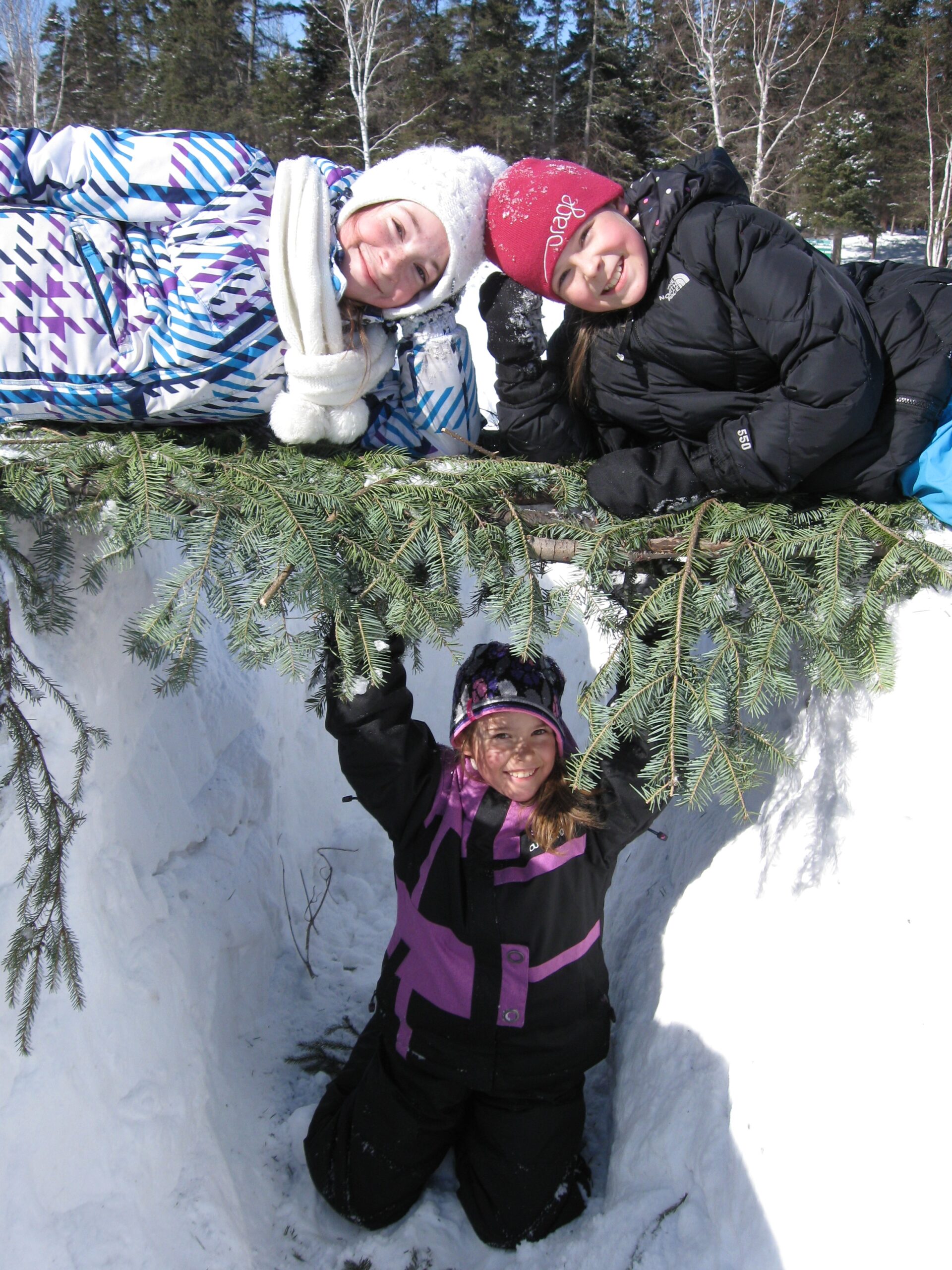 RELACHE CREUSER UN ABRIS 2012