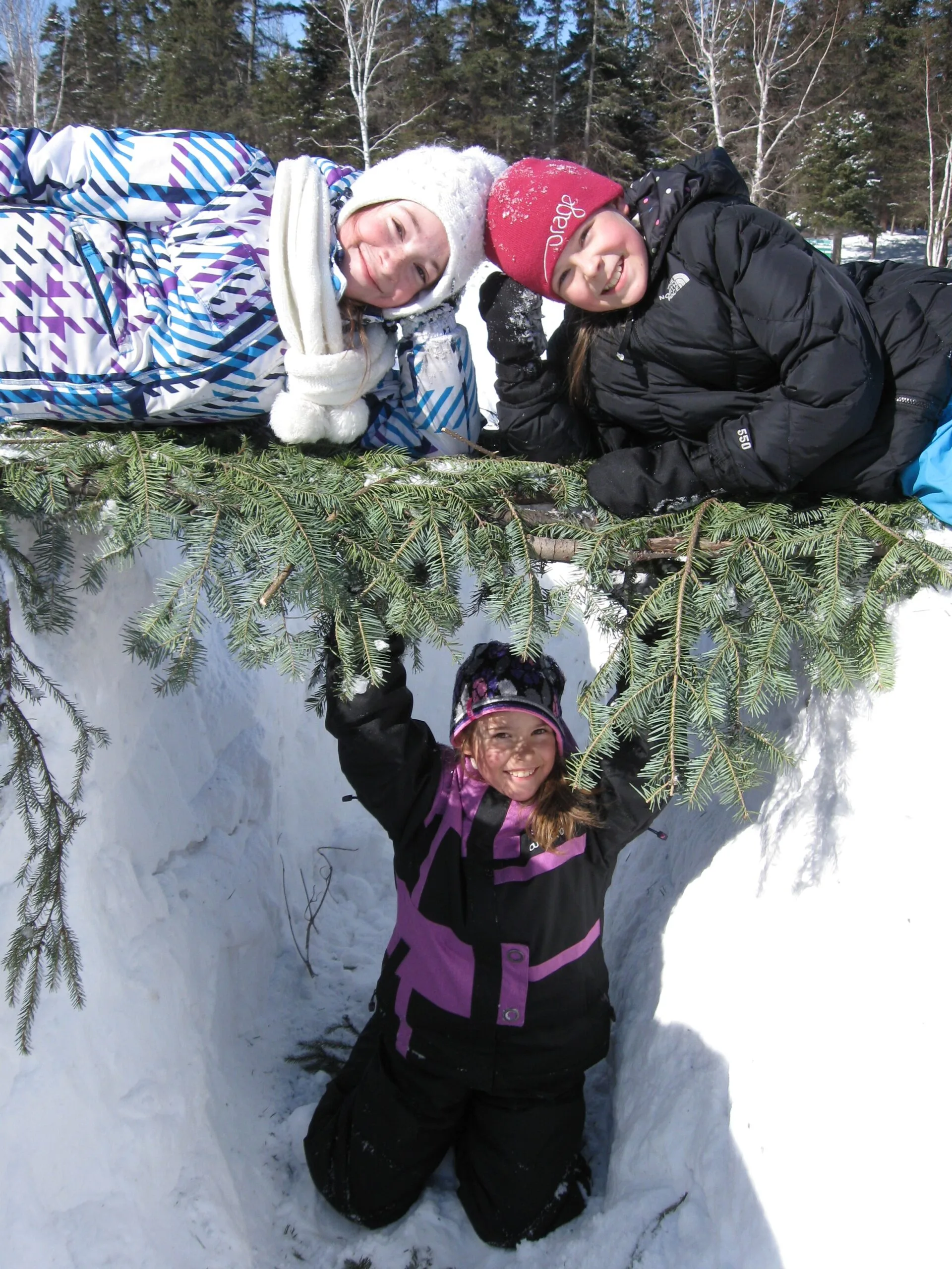 RELACHE CREUSER UN ABRIS 2012